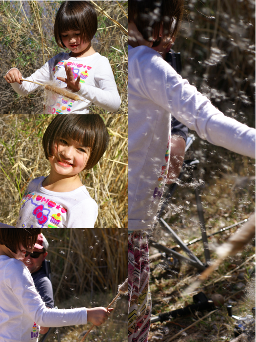 CattailsFishingMarisol